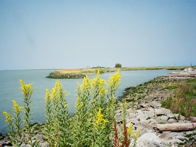 Tiket Masuk Waduk Darma 2025. Foto hanyalah ilustrasi bukan tempat sebenarnya. Sumber: Unsplash/Lauren Kan