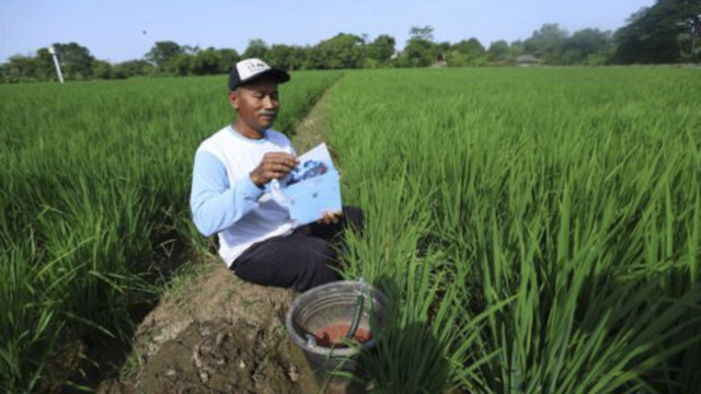 Petani di Karawang yang berkesempatan mendapat undangan menghadiri peringatan Detik-Detik Proklamasi Kemerdekaan Republik Indonesia ke-80. Foto: Dok. presidenri
