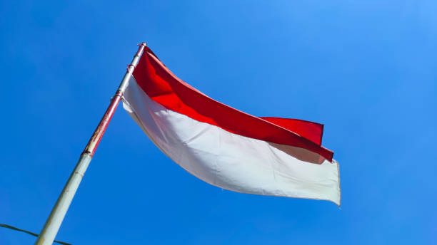 Ilustrasi Peserta Upacara 17 Agustus Di Istana Negara Berapa Orang, Foto: Unsplash/Adam Abdul Ghafur.