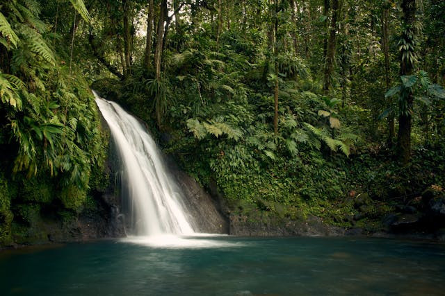 Wisata air terjun Lumajang. Foto hanya ilustrasi bukan sebenarnya. Sumber foto: Pexels/Greg Galas