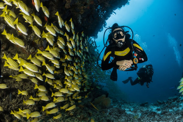 Spot Diving di Nusa Penida (Foto hanya ilustrasi, bukan tempat sebenarnya) Sumber: unsplash/Sebastian Pena Lambarri