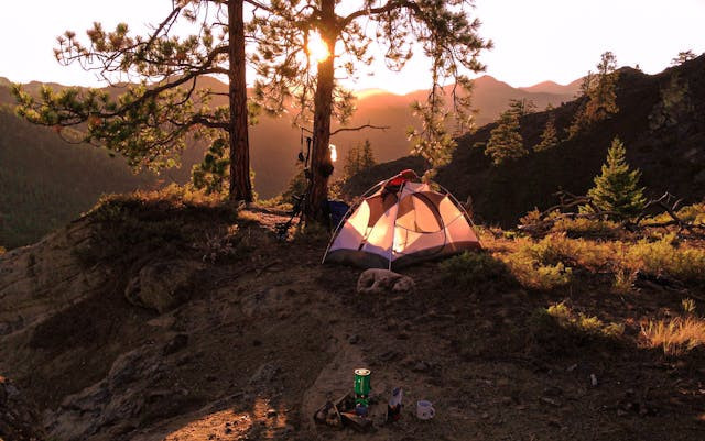3 camping ground di Pacet. Foto hanya ilustrasi bukan sebenarnya. Sumber foto: Pexels/Nathan Moore