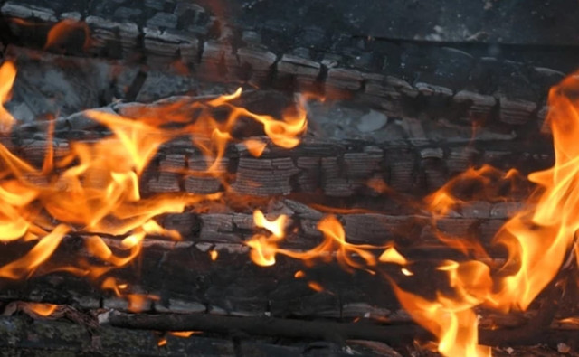 Sumber: Shutter stock