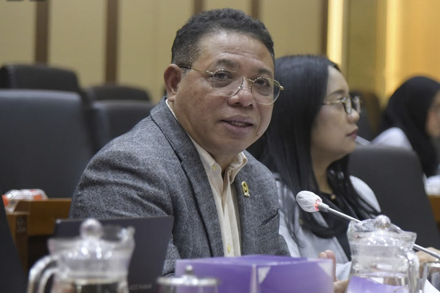 Kepala Badan Keahlian DPR RI Inosentius Samsul. Foto: Instagram/ @bk_dprri
