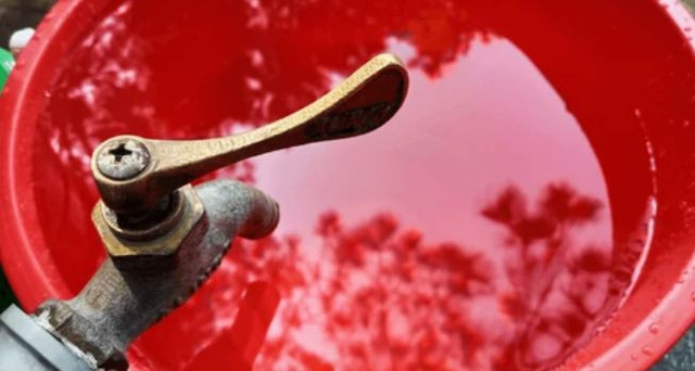 Ember dari bahan plastik yang kita kenal sekarang mulai mengalami produksi massal pada abad ke-20 lalu. (Sumber: Shutterstock)