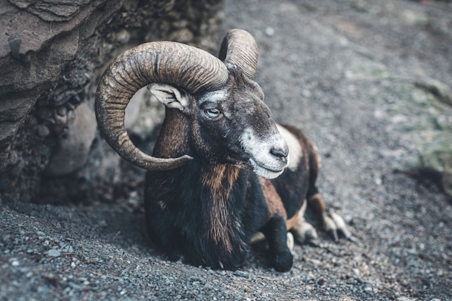 Ciri Wanita Tidak Ada Rasa sama Kita. Foto Hanya Ilustrasi, Bukan Sebenarnya. Sumber Foto: Unsplash.com/freestocks