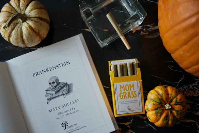 Ilustrasi sinopsis frankenstein 2025. Sumber: dad grass/unsplash