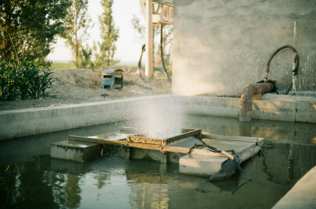 Ilustrasi ciri-ciri organisme ekstremofil dan habitatnya. Foto; Unsplash