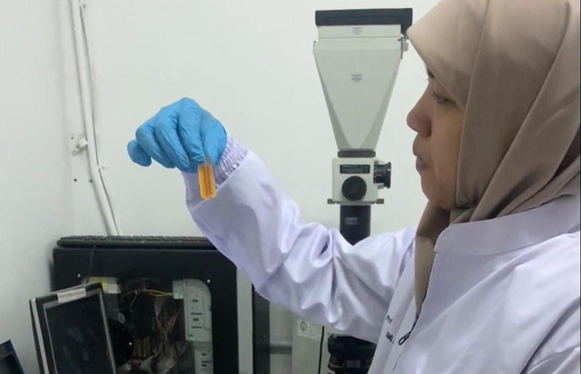 Prof Yatim Lailun Ni'mah SSi MSi PhD ketika melakukan uji laboratorium untuk risetnya. Foto: Humas ITS