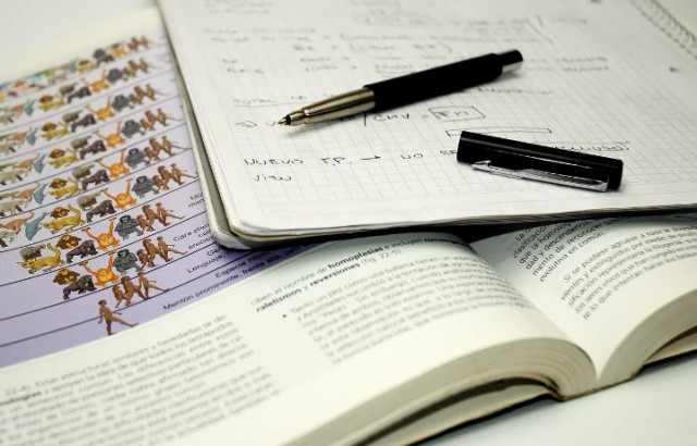 Ilustrasi contoh soal ANBK SMP. Foto: Pixabay/ paulabassi2