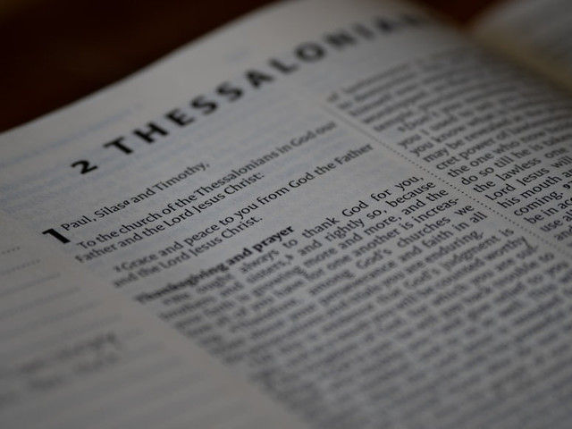 Ilustrasi kalimat tidak efektif. Foto: Unsplash/ Brett Jordan