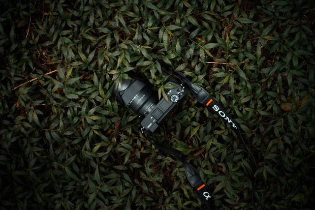 Ilustrasi kamera mirrorless 6 jutaan terbaik. Foto: unsplash.com/@zacwolff