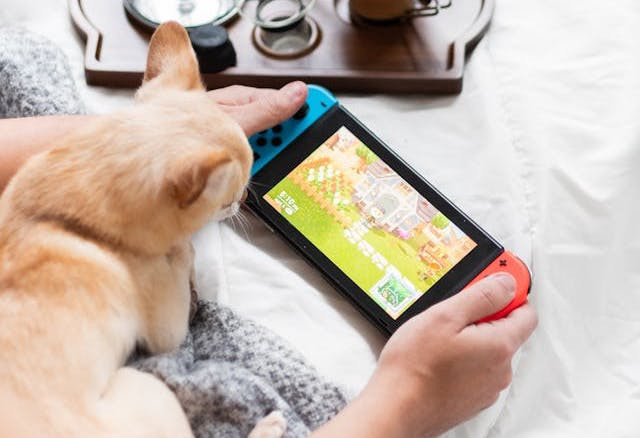 Ilustrasi Mooncat Grow a Garden. Foto: Pexels/Mister Mister