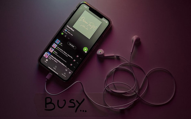 Ilustrasi Lagu Urutan Pertama di Salah Satu Playlist Mingyu di Spotify, Foto: Unsplash/Imtiyaz Ali