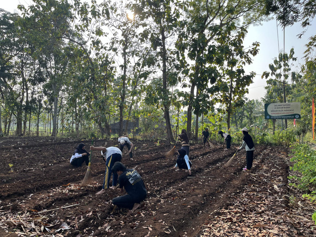 YSI HIMAMA UMY, Organisasi Penggerak Anak Muda, Dampingi KWT Sekar Wangi