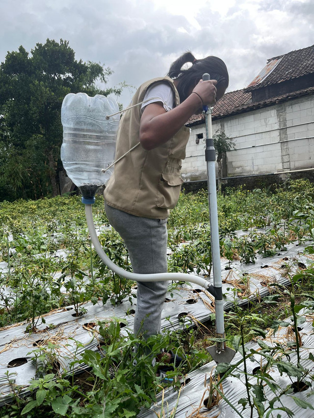 Foto Seorang mahasiswa mencoba alat Pertanian pada kebun cabai yang berhasil di modifikasi Selasa (19/8) di Dukuh Candi Petak, Desa Genting, Kecamatan Cepogo, Boyolali, Jawa Tengah