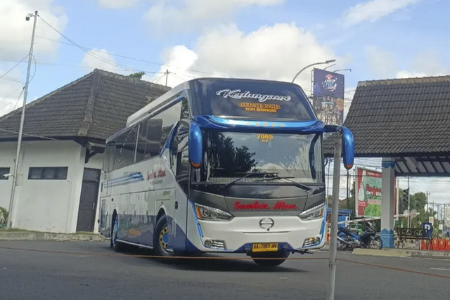 PO Sumber Alam pakai sasis bus Hino. Foto: Instagram/ @penikmat_bus28