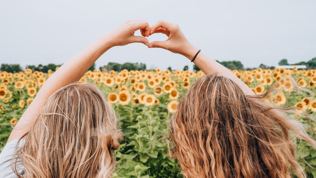 Ilustrasi Sinopsis You and Everything Else, Foto: Unsplash/Lauren Richmond