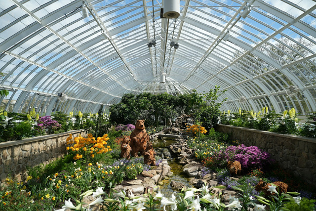 Ilustrasi keanekaragaman hayati tingkat jenis. Foto: Unsplash