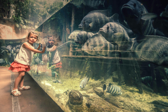 Harga tiket masuk Marine Safari Bali. Foto hanya ilustrasi, bukan sebenarnya. Sumber: Pexels/Andrzej