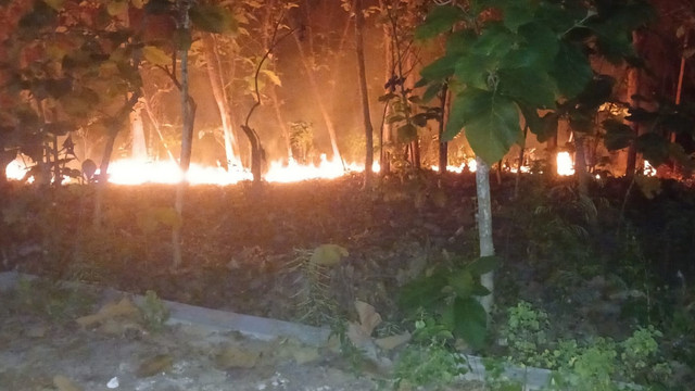 Petugas, saat lakukan pemadaman kebakaran lahan jati milik Sukirnan (60), yang berlokasi di Desa Selorejo, Kecamatan Baureno, Kabupaten Bojonegoro. Selasa (02/092025) (Aset: Istimewa)