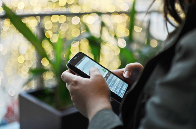 Ilustrasi cara cek nama pemilik kendaraan online. Foto: Pixabay.com/afra32