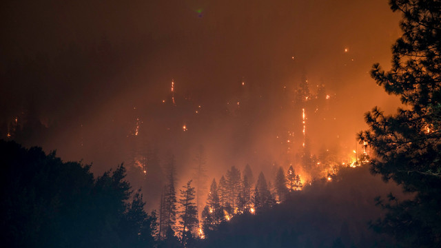 Ilustrasi kabut asap akibat kebakaran hutan. Foto: Unsplash