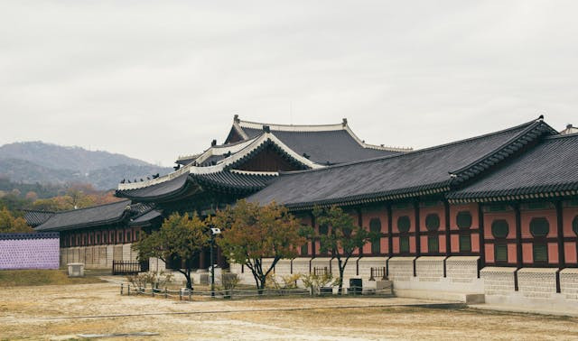ilustrasi Raja Tiran Joseon - foto:pexels/Tranmautritam