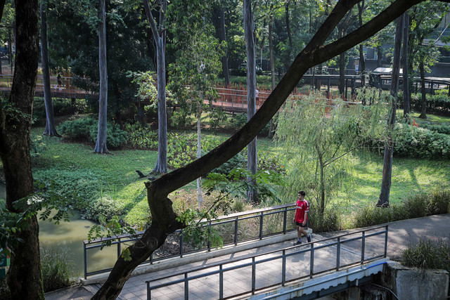 Warga saat olahraga di Tebet Eco Park, Jakarta, Sabtu (5/9/2025). Foto: Iqbal Firdaus/kumparan