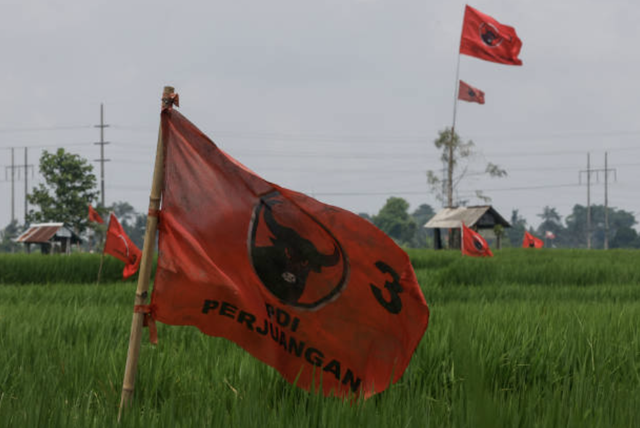Bendera Partai Demokrasi Indonesia Perjuangan (PDI-P) berkibar di persawahan di Kecamatan Sempidi, Bali, menjelang pemilihan umum Indonesia yang akan diselenggarakan pada 14 Februari 2024. (Foto oleh David GANNON / AFP via Getty Images)