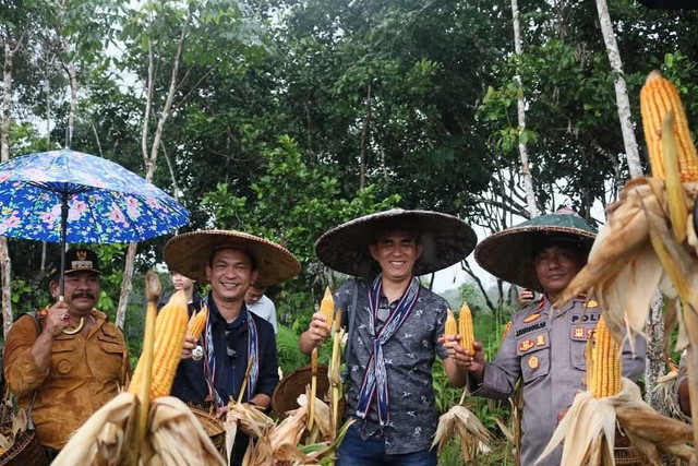 Panen raya jagung hibrida bersama Kelompok Tani Jaya Mandiri di Desa Mapan Jaya, Kecamatan Kayan Hulu.(Foto: Ist)
