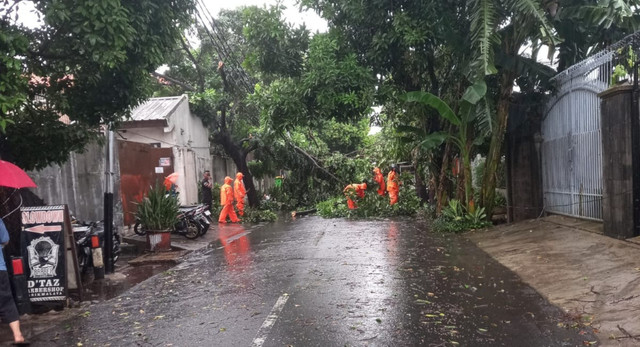 Jakarta Dihantam Angin Kencang, 7 Pohon Tumbang Timpa Rumah dan Fasilitas Umum