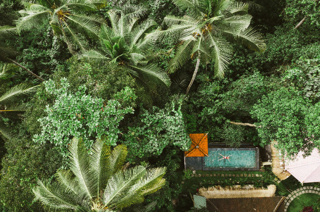 Hotel Ubud Malang. Foto hanya ilustrasi, bukan sebenarnya. Sumber: Unplash/Jaanus Jagomag