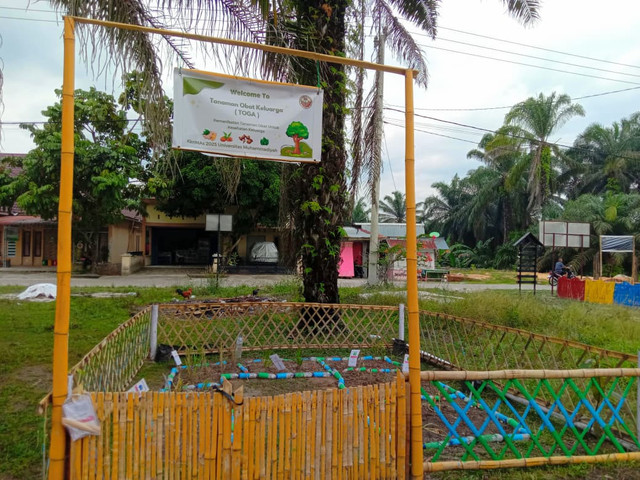 Program TOGA: KKN Mas 120 Ajak Warga Rantau Bertuah Manfaatkan Tanaman Obat