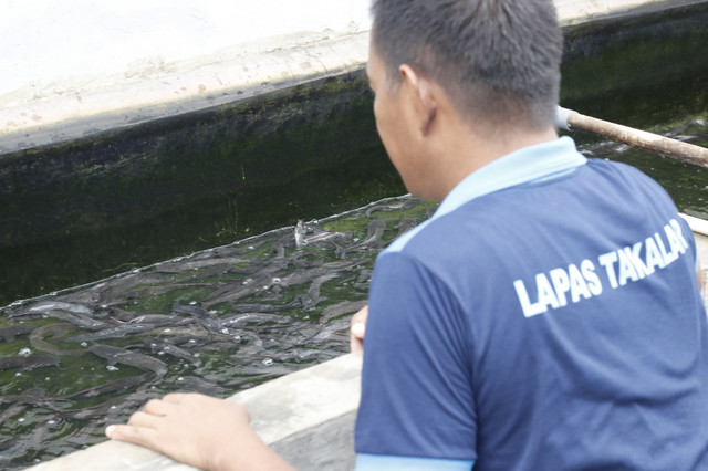 Perkuat Ketahanan Pangan, Lapas Takalar Optimalkan Budidaya Ikan Lele