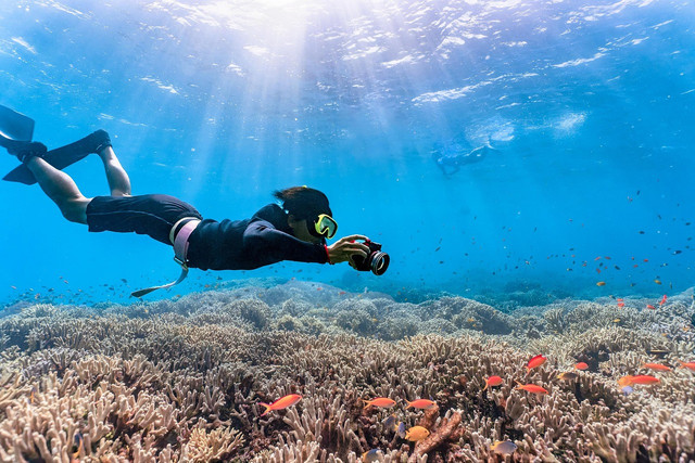 Pantai Nglambor. Foto hanya ilustrasi, bukan tempat sebenarnya. Sumber: Pixabay
