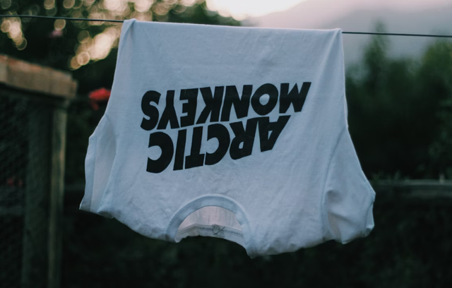 Ilustrasi Lirik Lagu Arctic Monkeys Secret Door. Sumber: Unsplash/Sofia Guaico