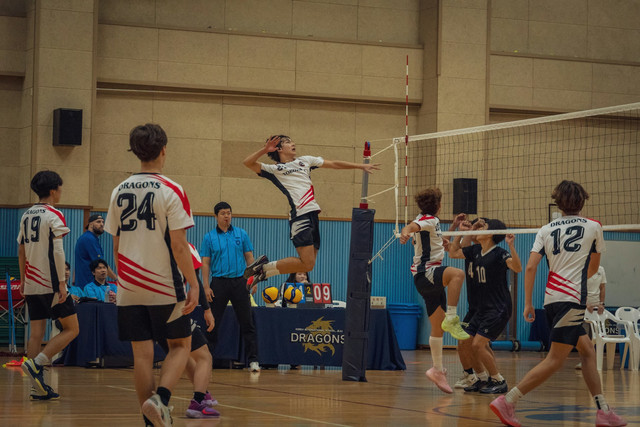 Ilustrasi Daftar Pemain Livoli Divisi Utama 2025. Sumber: Unsplash/HorseRat