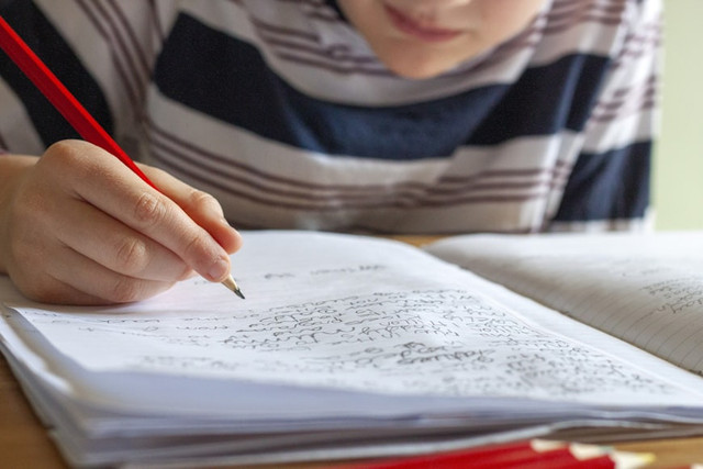 Ilustrasi soal essay Pendidikan Pancasila kelas 4 Kurikulum Merdeka semester 1. Unsplash/eleni koureas