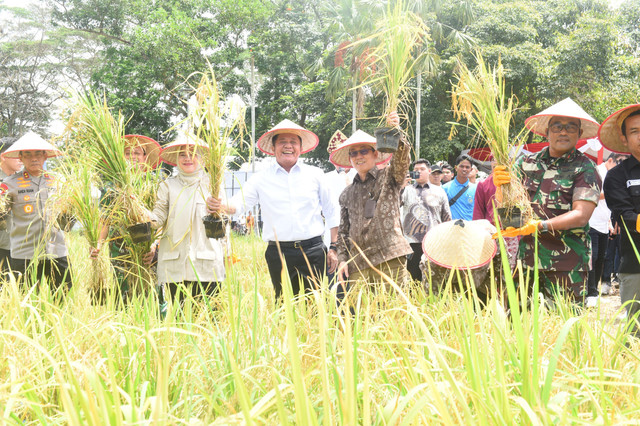 Gubernur Sumsel Herman Deru bersama Forkompinda dipeluncuran Gebyar Perbenihan Tanaman Pangan Nasional (GPTPN) ke-10 di Jakabaring Sport City, Palembang, Sabtu (13/9/2025). Foto : Humas Pemprov Sumsel 