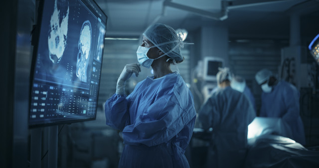 Ilustrasi Dokter Spesialis. Foto: Gorodenkoff/Shutterstock