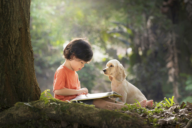 Ilustrasi anak digigit anjing. Foto: Jeanette Virginia Goh/Shutterstock