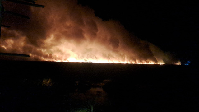 Lahan pertanian yang terbakar di Desa Pangkalan Lampam, OKI/ist. 
