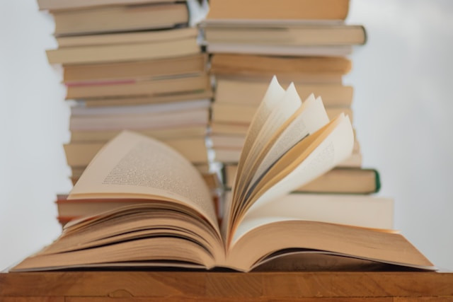 Ilustrasi contoh novel sejarah. Foto: Elisa Calvet B. / Unsplash