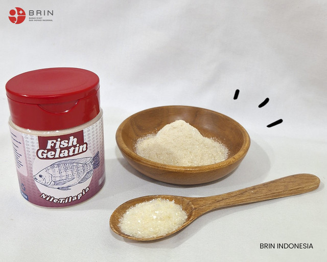 BRIN melakukan inovasi menciptakan gelatin halal dari kulit ikan nila. Foto: X/ @brin_indonesia