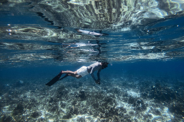 Harga snorkeling di Gili Nanggu. Foto hanya ilustrasi, bukan sebenarnya. Sumber: Pexels/Jhon Cahil