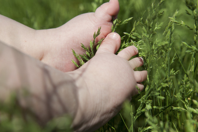 Ilustrasi Kaki Balita. Foto: Shutterstock