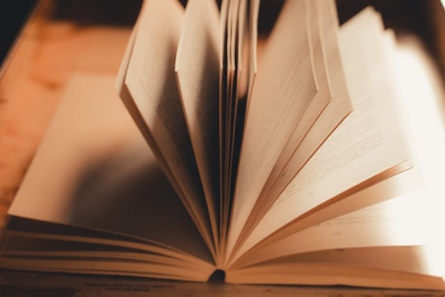 Ilustrasi Sinopsis Tetralogi Pulau Buru Pramoedya Ananta Toer. Sumber: Pexels/Pramodtiwari