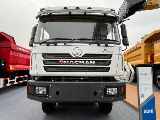 Truk Shacman F3000. Foto: Alvian Yoga Yulianto/kumparan