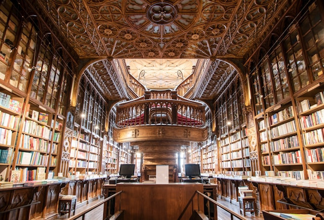 3 Perpustakaan esetetik di Jakarta. Foto hanya ilustrasi, bukan tempat sebenarnya. Sumber: Unsplash/Ivo Rainha